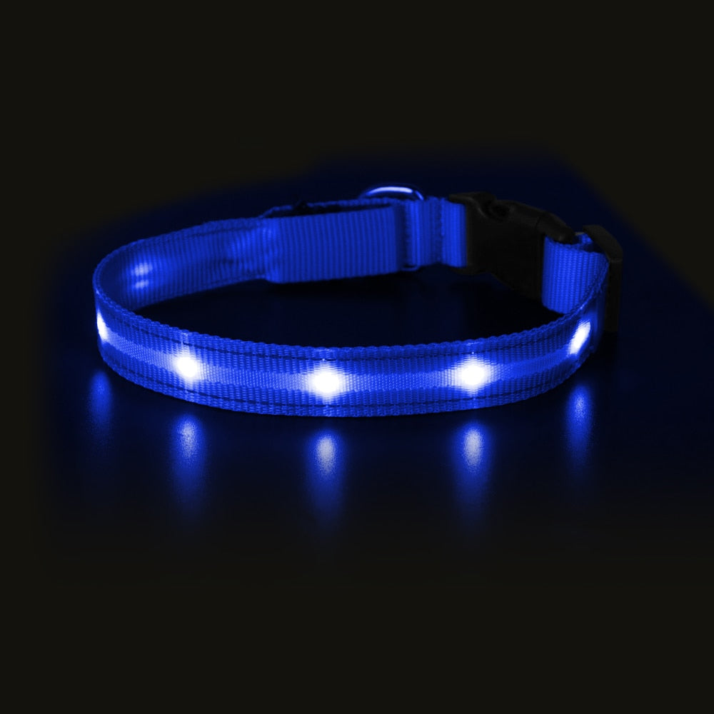 USB Rechargeable Night LED Pet Collars