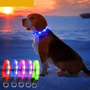 USB Rechargeable Night LED Pet Collars