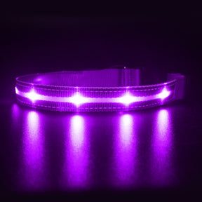 USB Rechargeable Night LED Pet Collars
