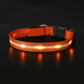 USB Rechargeable Night LED Pet Collars