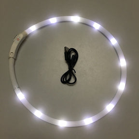 LED Glowing Night Luminous Pet Collar