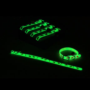 Luminous Pet Glowing Collar