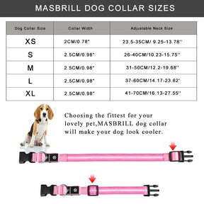 USB Rechargeable Night LED Pet Collars