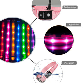 USB Rechargeable Night LED Pet Collars