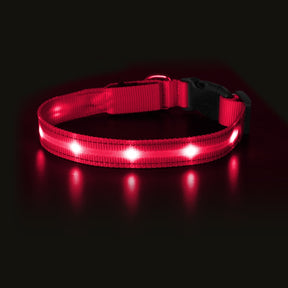 USB Rechargeable Night LED Pet Collars