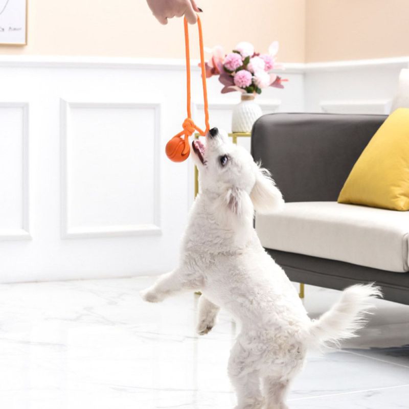 Best Cleaning Teeth Puppy Squeak Toy