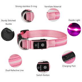 USB Rechargeable Night LED Pet Collars