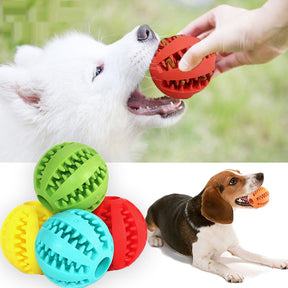 Interactive Chewing Pet Food Ball