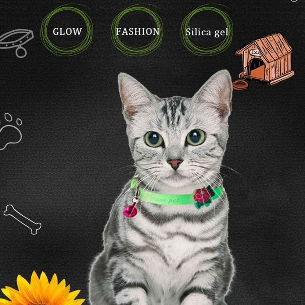 Luminous Pet Glowing Collar