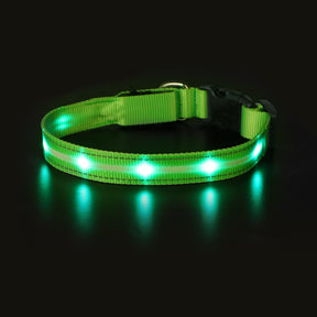 USB Rechargeable Night LED Pet Collars