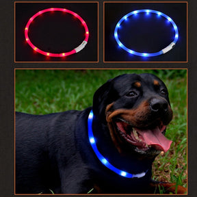 LED Glowing Night Luminous Pet Collar