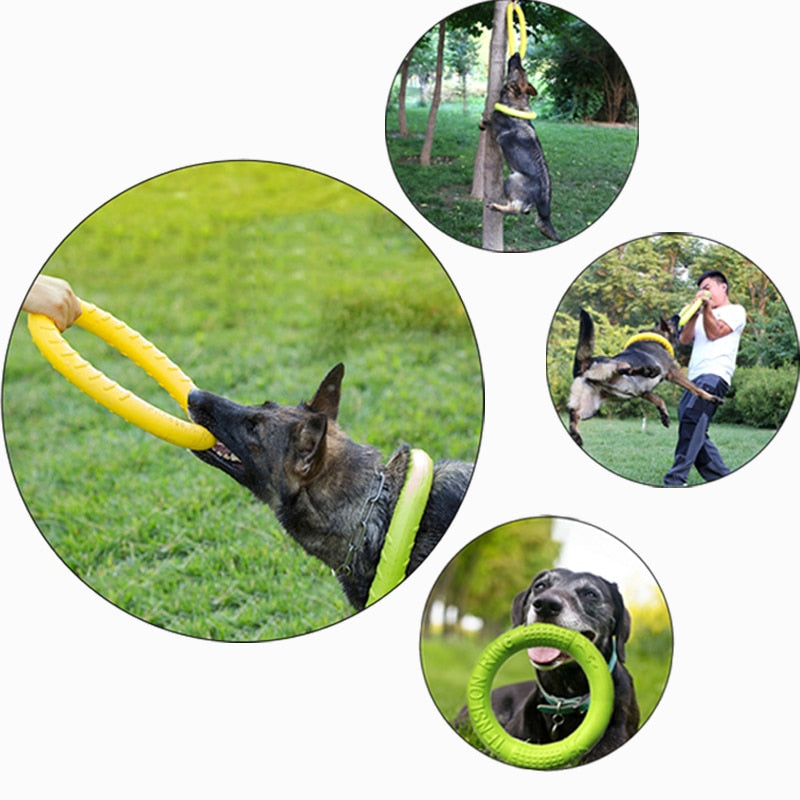 Pet Flying Disk Training Toy
