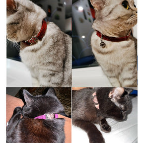 Heart Charm and Bell Cat Collar
