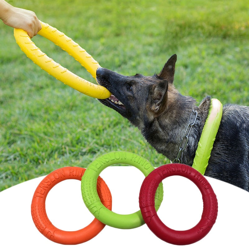 Pet Flying Disk Training Toy