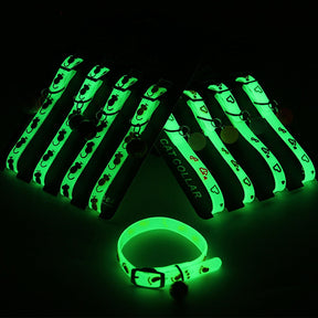 Luminous Pet Glowing Collar